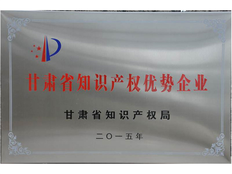 甘肃省知识产权优势企业.jpg